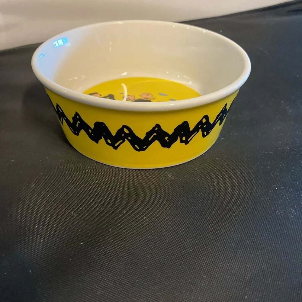 Snoopy peanuts dog dish